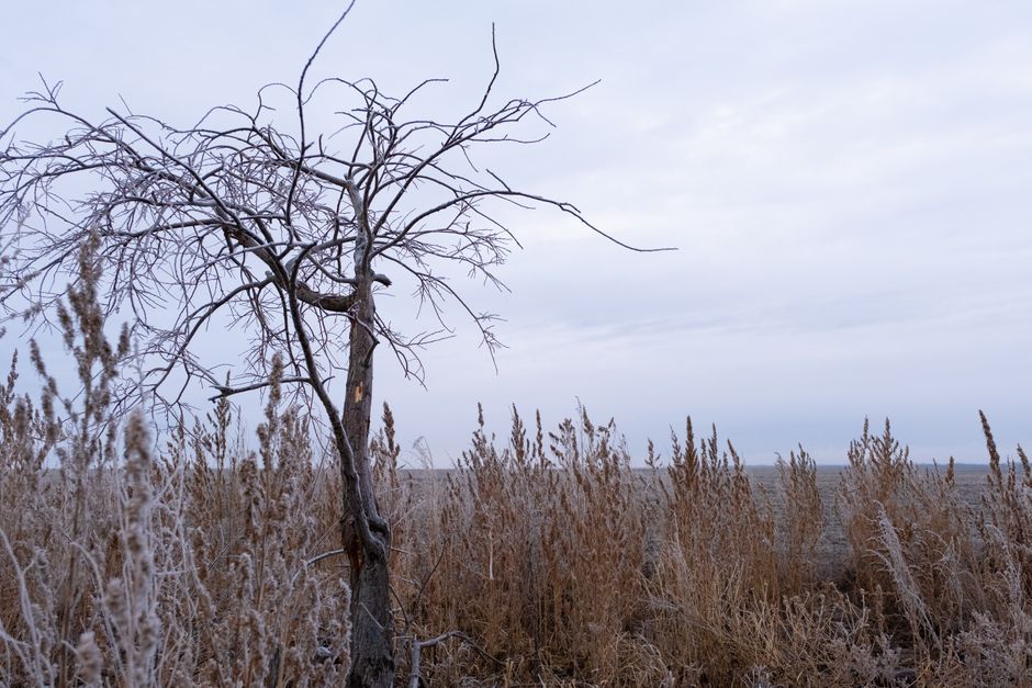 Dry winter landscape in southern Idaho, illustrating conditions that can trigger eczema and psoriasis flares