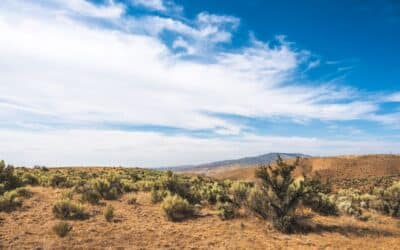 Skin Cancer Screening in Boise: What to Expect and Why It Matters