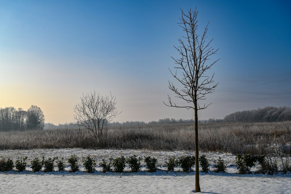 Seborrheic Dermatitis in Boise: Managing Flaky Skin This Winter